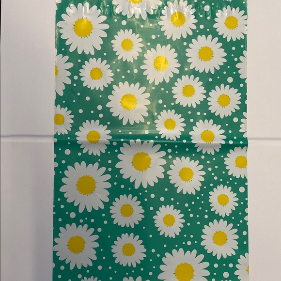 Poly Mailers Other - 10 Daisy Green Poly Mailers 10x13